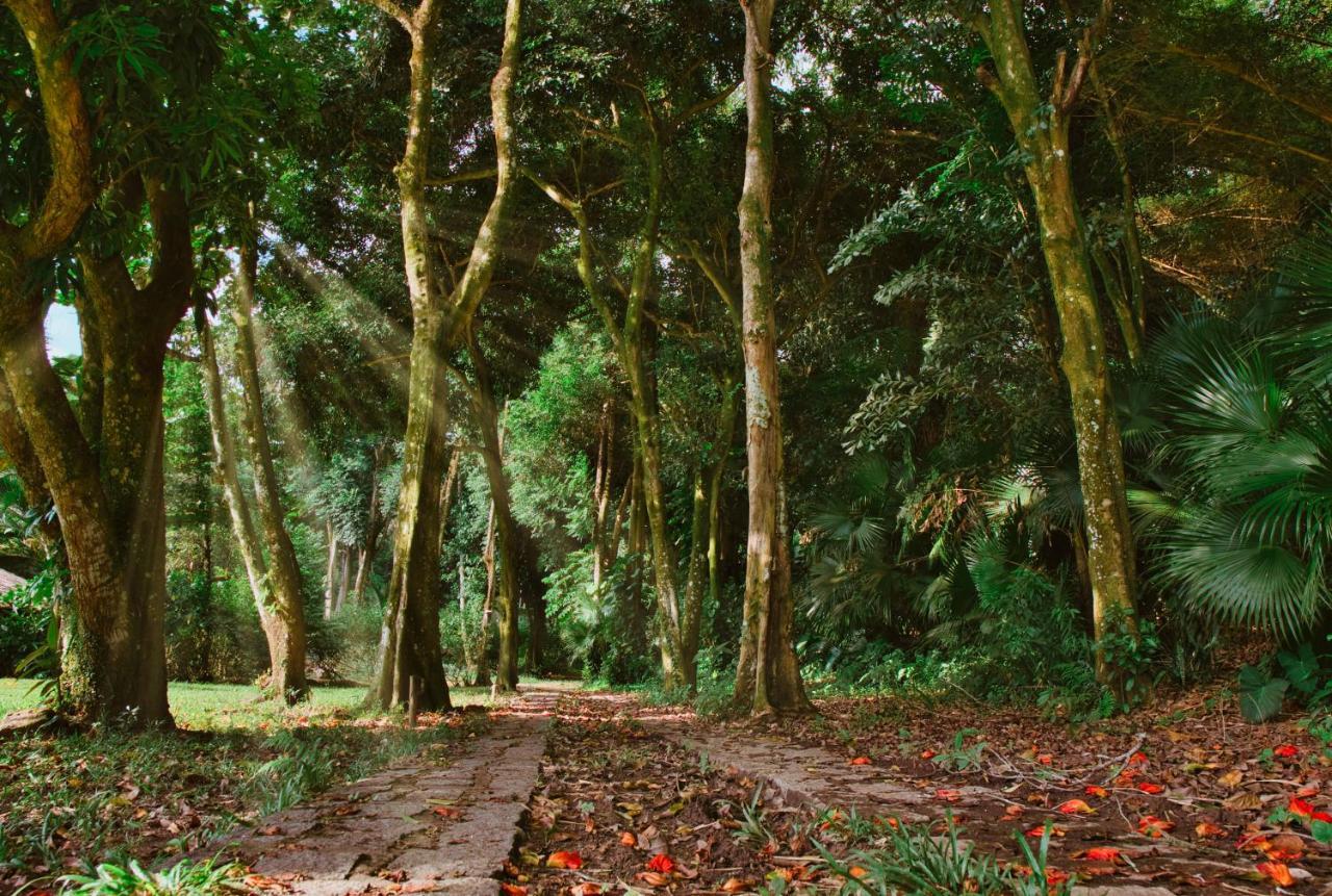 Villa Siriúba Ilhabela Dış mekan fotoğraf
